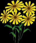 Basteln : Flower Power  Blumen und Blätter aus Pfeifenreiniger = 